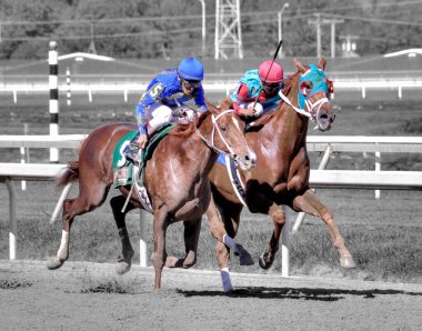 Hepsi alakasız, yanıp sönen ışıklar açık, Pensilvanya Derbisi 'nde Parx' i kazanmak. Binicilerin ve atların son sürat savaşırken çekilmiş bir fotoğrafı. Filo fotoğrafı