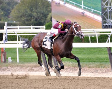 Montauk & Johnny Velazquez, Belmont Park 'taki bu güzel Bay Speedball' la tek başına kazandı. Filo fotoğrafı