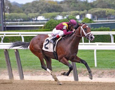 Montauk & Johnny Velazquez, Belmont Park 'taki bu güzel Bay Speedball' la tek başına kazandı. Filo fotoğrafı