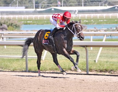 E Dubai 'nin kırmızı ve beyaz elmas ipekli delisi Pensilvanya derbisi gününde tek başına kazandı.