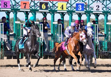 Pensilvanya Derbi Günü 'nde Parx' da at yarışı şampiyonluğu için yarışıyor. Binicilerin ve atların pozisyon için savaşırken çekilmiş yakın bir fotoğrafı. Filo fotoğrafı