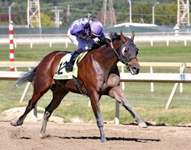 Pensilvanya derbisi gününde açık ara farkla kazanan mor ve beyaz elmas ipekli jokey Dana Whitney ile Hempt Prensi...