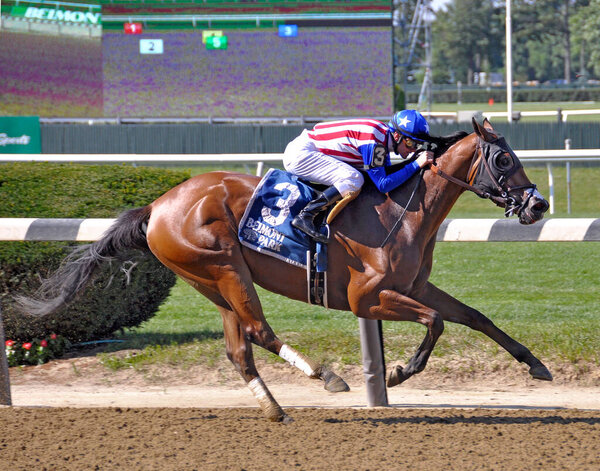 A great shot of American Gal, a stunning multiple stakes winning bay filly, shown here after her win in the Victory Ride Stakes. Jockey Flavien Prat is wearing the Red - White and Blue silks of owner Kaleem Shah on the Belmont Park track. Fleetphoto