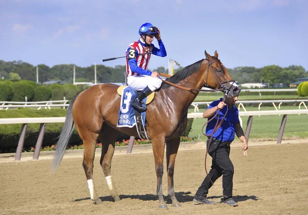 アメリカのギャルの素晴らしいショット ベイフィリーを獲得した見事な複数のステーク 勝利ライドステークスで彼女の勝利の後 ここに示されています ジョッキー フラヴィーン プラットは ベルモント パーク トラックのオーナーのKaleem — ストック写真