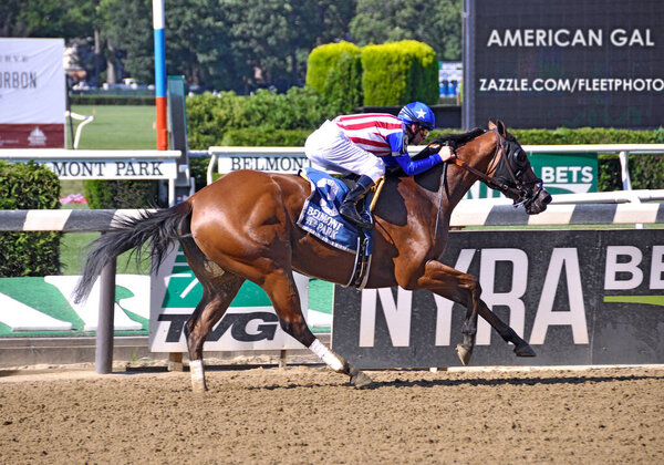 A great shot of American Gal, a stunning multiple stakes winning bay filly, shown here after her win in the Victory Ride Stakes. Jockey Flavien Prat is wearing the Red - White and Blue silks of owner Kaleem Shah on the Belmont Park track. Fleetphoto