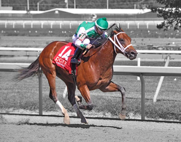 Parx 'ı kazanan Frankie Pennington' la Diamond King. Pensilvanya Derbi Günü 'nde bekaretini bozan çoklu bahis kazananın renkli fotoğrafı. Filo fotoğrafı