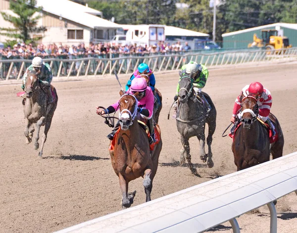 Saklı Gizem & Kendrick Carmouche Parx 'ta kazanıyor. Bu kısrağın göğüs kaslarını gösteren yakın plan çekimler. Filo fotoğrafı