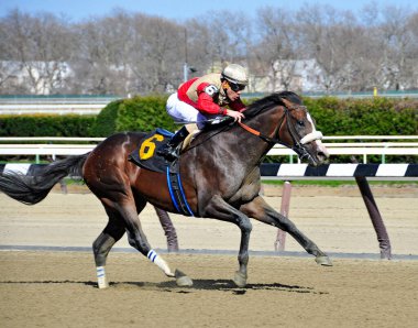 Jokey Junior Alvarado ile pohpohlayıcı, jokeyi tarihi Aqueduct Hipodromu 'nun bitiş çizgisine yakın yerde otururken büyük bir farkla önde. Filo fotoğrafı