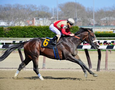 Jokey Junior Alvarado ile pohpohlayıcı, jokeyi tarihi Aqueduct Hipodromu 'nun bitiş çizgisine yakın yerde otururken büyük bir farkla önde. Filo fotoğrafı
