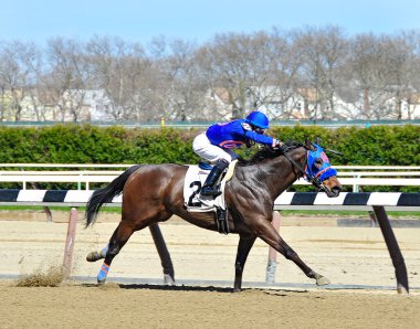 Banka ve Jose Ortiz, jokeyi tarihi Aqueduct Hipodromu 'nun bitiş çizgisine yakın yerde otururken büyük bir farkla önde. Filo fotoğrafı