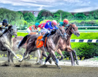 Klasik Salsa ve Manhattan yaramazlığı Belmont Parkı 'nda burun buruna yarışıyorlar. Filo fotoğrafı
