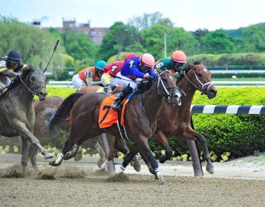 Klasik Salsa ve Manhattan yaramazlığı Belmont Parkı 'nda burun buruna yarışıyorlar. Filo fotoğrafı