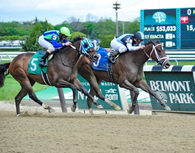 İmparatoriçe Jingu ve Javier Castellano Eclipse Partners adına koyu kahverengi kısrakla yarım boy farkla kazanıyor. Belmont Parkı 'nda. Filo fotoğrafı