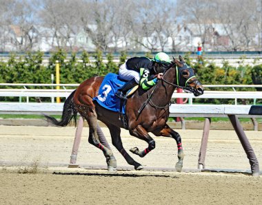 Kendrick Carmouche 'u büyük bir farkla yenerek, jokeyi tarihi Aqueduct Hipodromu' nun bitiş çizgisine yaklaşırken eyerin altında oturuyordu. Filo fotoğrafı