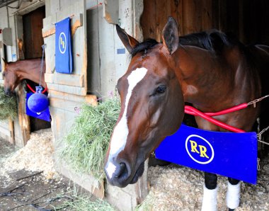  Eğlence Aşkı, Dört Kez Kazanan 
