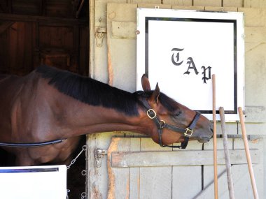 Bahisleri kazanan iki yaşındaki 