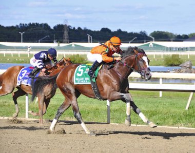 Pensilvanya Derbi Günü 'nde Parx' ta 2016 Gallant Bob Stakes 'i kazanan yok. Filo fotoğrafı