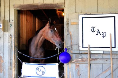 Çoklu Bahisler Kazanan 