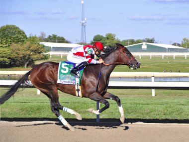 3 yaşındaki şampiyon kısrak Songbird, Pensilvanya Derbisi 'nde jokey Mike Smith ile 2016 Cotillion yarışını kazandı. Sahibi Fox Hill Çiftliği ve eğitmeni de Hall of Fame 'den Jerry Hollendorfer. Songbird 'ün babası Medaglia d' Oro 'dur. Filo fotoğrafı