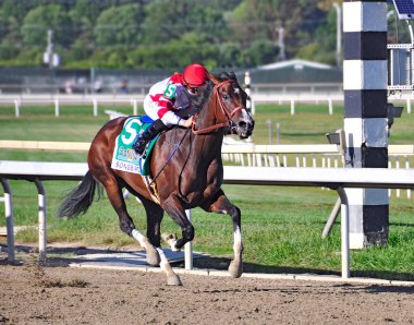 3 yaşındaki şampiyon kısrak Songbird, Pensilvanya Derbisi 'nde jokey Mike Smith ile 2016 Cotillion yarışını kazandı. Sahibi Fox Hill Çiftliği ve eğitmeni de Hall of Fame 'den Jerry Hollendorfer. Songbird 'ün babası Medaglia d' Oro 'dur. Filo fotoğrafı