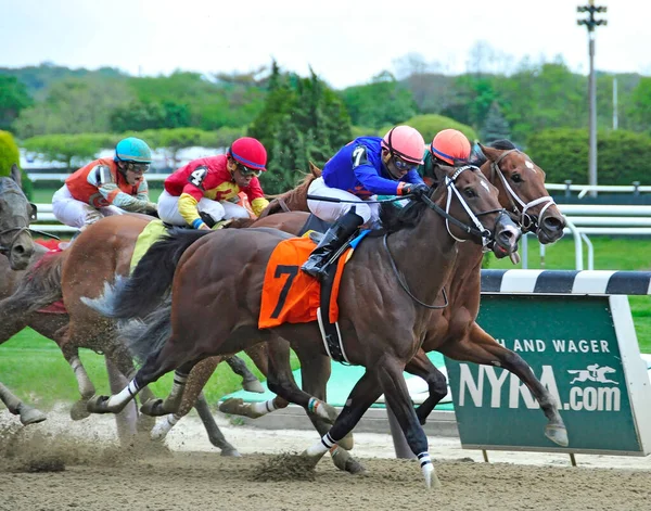 Clásica Salsa Manhattan Traviesa Nariz Carreras Aparte Durante Todo Tramo — Foto de Stock