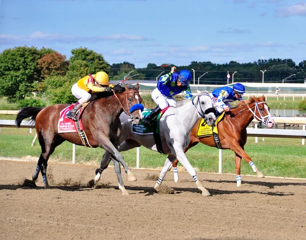 Cyrus Alexander (Bay), Mr. Jordan (White) & Res Judicata (Chestnut), Pensilvanya Derbi Günü 'nde Parx' ta açık ve bulutlu bir gökyüzü altında lider olmak için mücadele etti. Rafael Bejarano bu yarışta Cyrus Alexander 'la galibiyete ulaştı.