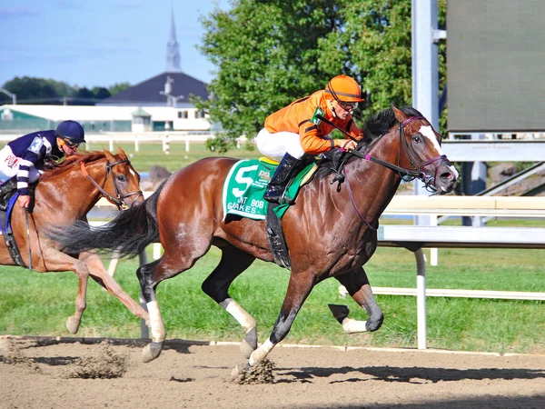 Noholdingback Bear Vencendo 2016 Gallant Bob Stakes Parx Dia Pennsylvania — Fotografia de Stock