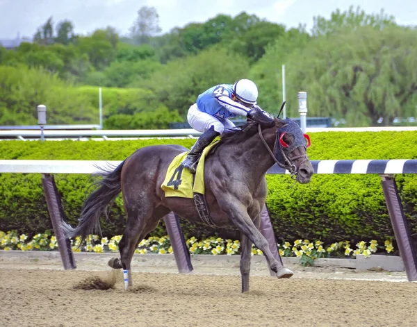 Pass Dice Winning Jockey Joel Rosario Saddle Wearing Blinkers Dark — Stock Photo, Image