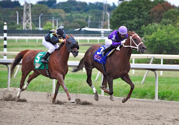 Sandy Song Awesome Ego Соревнуются Вместе Сражаясь Лицом Лицу Парксе Стоковое Фото