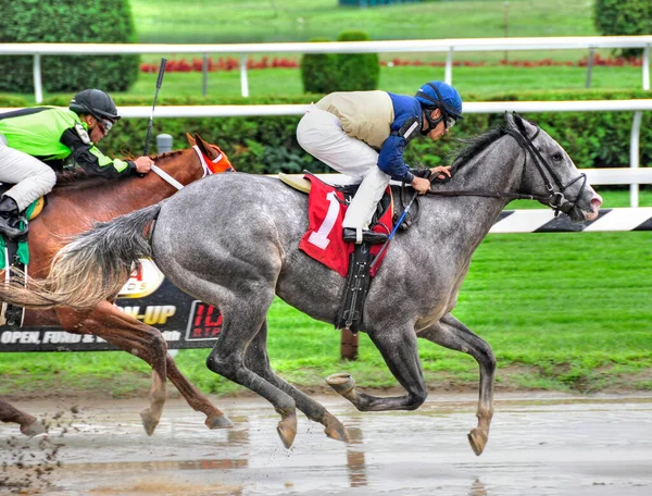 Fantastické Horse Racing Fotky Saratoga Jako Tento Vynikající Sprinter Náš — Stock fotografie