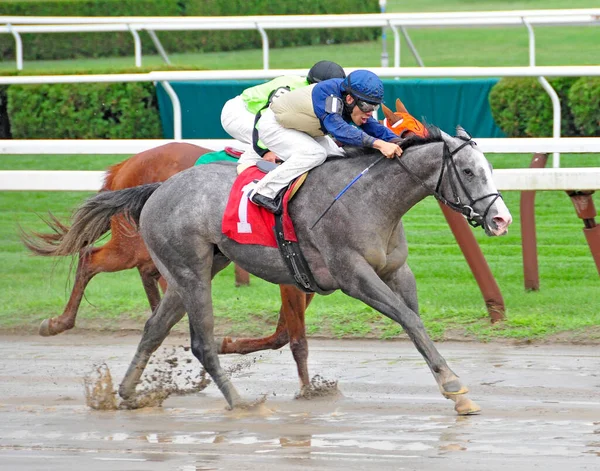 Fantastické Horse Racing Fotky Saratoga Jako Tento Vynikající Sprinter Náš — Stock fotografie