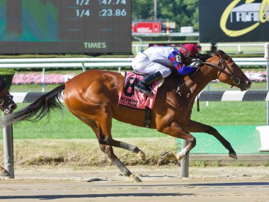 Bank Sting 'den Kendrick Carmouche, Belmont Park' taki New York Bred Showcase Günü 'yle zafere gidiyor. Şampiyonların taç giydiği bu ikonik yarış pistinden harika bir at yarışı fotoğrafı. Filo fotoğrafı
