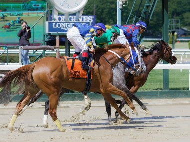  Robin Sparkles tarihi Belmont Parkı 'nda Mount Vernon Stakes' i kazanıyor. Filo fotoğrafı