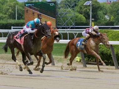Koca Bobby, Şanghay Bobby 'nin üç yaşındaki iri bir tayı Belmont Parkı' ndaki ıslak ve pasaklı bir yarış pistinde bakireliğini kazanıp kırıyor. Filo fotoğrafı