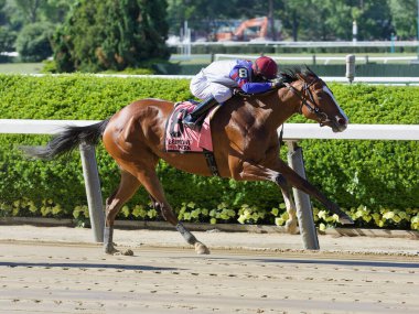 Bank Sting 'den Kendrick Carmouche, Belmont Park' taki New York Bred Showcase Günü 'yle zafere gidiyor. Şampiyonların taç giydiği bu ikonik yarış pistinden harika bir at yarışı fotoğrafı. Filo fotoğrafı