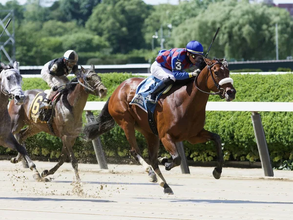 Robin Sparkles Gana Mount Vernon Stakes Histórico Belmont Park Fleetphoto —  Fotos de Stock