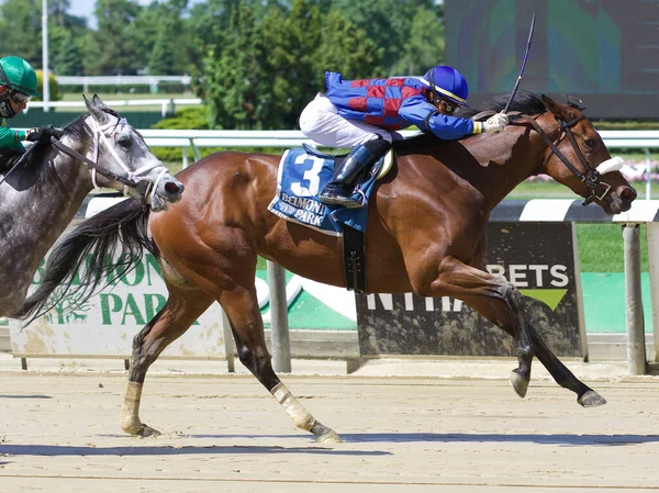 Robin Sparkles Winning Mount Vernon Stakes Historic Belmont Park Fleetphoto — Stock Fotó