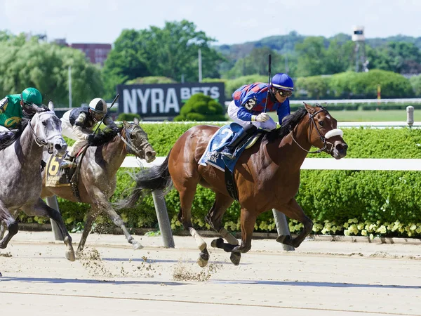 Robin Sparkles Winning Mount Vernon Stakes Historic Belmont Park Fleetphoto — Stock Fotó