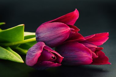 Lale çiçek - makro fotoğraf