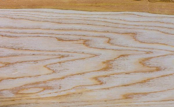 background of Ash wood texture decorative surface