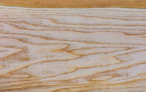 background of Ash wood texture decorative surface