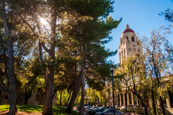 カリフォルニア州パロアルトのスタンフォード大学キャンパス — ストック写真