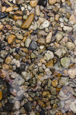 Temiz su ile ıslak okyanus taşlar