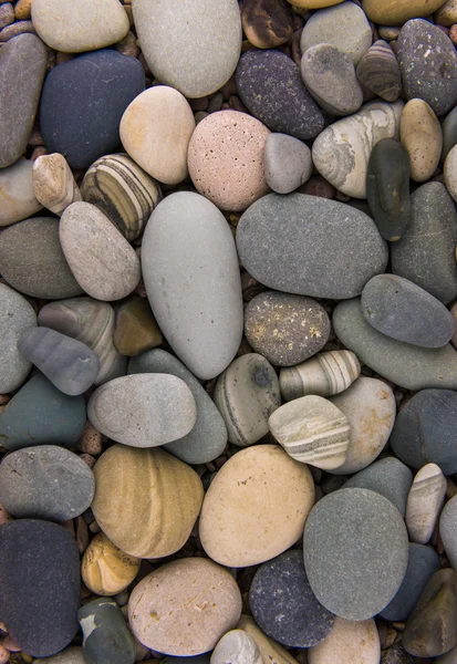 Fondo de piedras marinas . — Foto de Stock