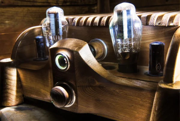 Amplificador de tubo de madeira natural - corpo de gafanhoto — Fotografia de Stock