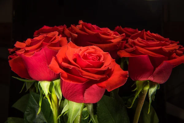 Rosas vermelhas no fundo preto — Fotografia de Stock