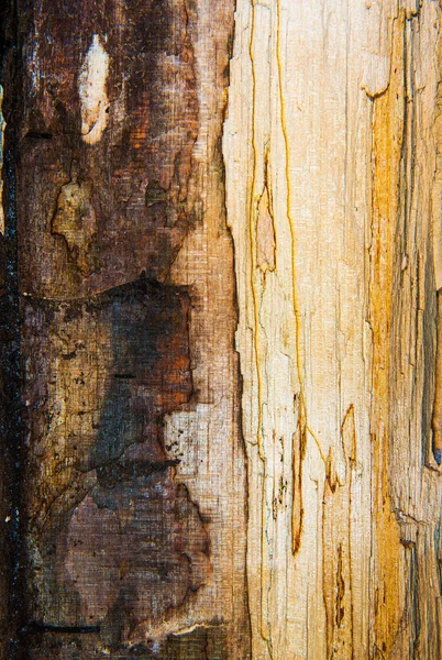 Παλιά mouldering δρύινο ξύλο υφή — Φωτογραφία Αρχείου