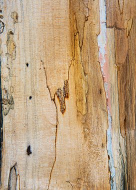 Eski meşe ahşap doku düşündüler