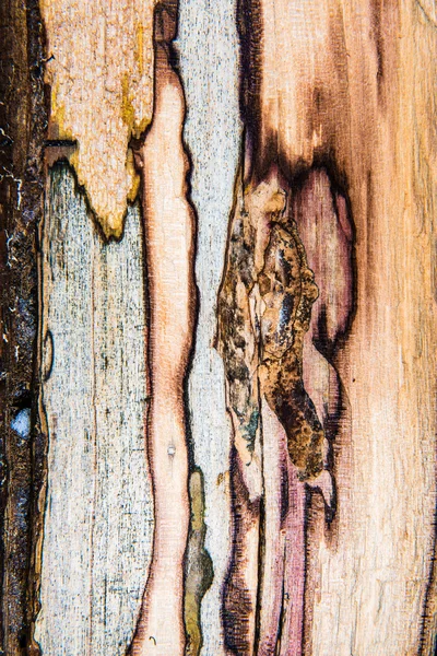 Viejo roble moldeado textura de madera — Foto de Stock