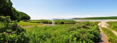 bulutlar, Pasifik Okyanusu yatay